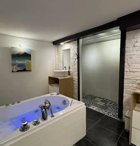 Loft Des Celestins * Vichy